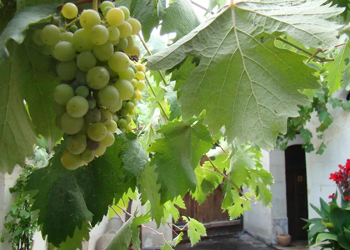 Szálloda Aravan Evi Ürgüp